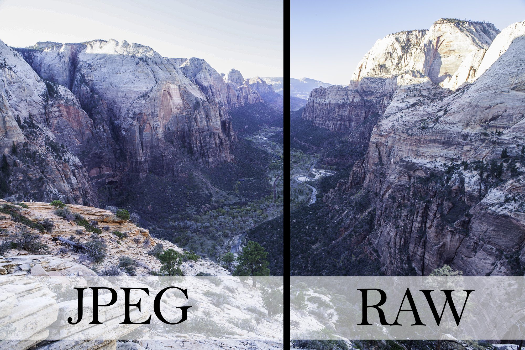 raw-vs-jpeg-explained-take-your-photography-to-the-next-level-youtube